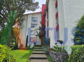 2 Habitación Apartamento en alquiler en Alvaro Obregon, Ciudad de México, Alvaro Obregon