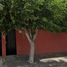3 Habitación Casa en venta en Merida, Yucatán, Merida, Yucatán