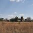  Terreno (Parcela) en venta en Santa Isabel Cholula, Puebla, Santa Isabel Cholula, Puebla