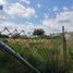  Land for sale in Yautepec, Morelos, Yautepec