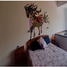 5 Schlafzimmer Haus zu verkaufen in Alvaro Obregon, Mexico City, Alvaro Obregon