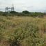  Land for sale in Montecristi, Manabi, Montecristi, Montecristi