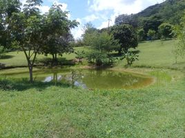 5 Habitación Casa en venta en Colombia, Melgar, Tolima, Colombia