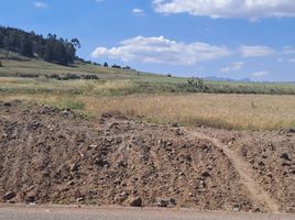  Land for sale in Chignahuapan, Puebla, Chignahuapan