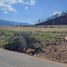  Land for sale in Chignahuapan, Puebla, Chignahuapan