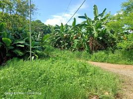  Terreno (Parcela) en venta en Quezon City, Metro Manila, Quezon City