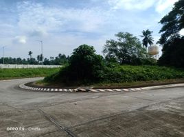  Land for sale in Tiaong, Quezon, Tiaong