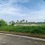  Land for sale in Tiaong, Quezon, Tiaong