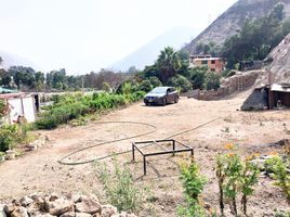  Terreno (Parcela) en venta en Lurigancho, Lima, Lurigancho