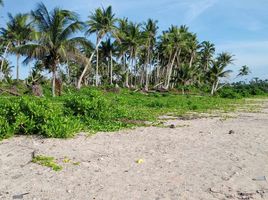  Land for sale in Surigao del Norte, Caraga, Pilar, Surigao del Norte