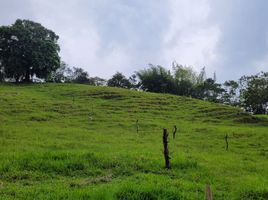  Villa en venta en Chinacota, Norte De Santander, Chinacota