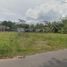  Land for rent in Tempuran, Jawa Tengah, Tempuran, Magelang, Jawa Tengah, Indonesia