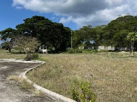  Land for sale in San Juan, Batangas, San Juan