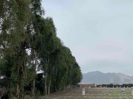  Grundstück zu verkaufen in Huaral, Lima, Huaral, Huaral, Lima