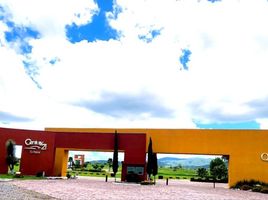  Terrain for sale in Allende, Guanajuato, Allende