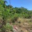  Land for sale in Las Pinas City, Southern District, Las Pinas City