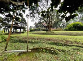 6 Bedroom House for sale in Puncak Gunung Mas Tea Gardens, Cisarua, Megamendung