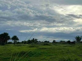  Land for sale in Umingan, Pangasinan, Umingan