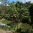 Land for sale in Sauce, San Martin, Sauce, San Martin, San Martin