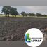  Land for sale in Guayaquil, Guayas, Guayaquil, Guayaquil, Guayas