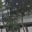 80 SqM Office for sale in Mexico, Miguel Hidalgo, Mexico City, Mexico