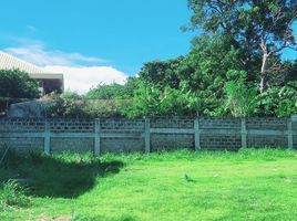 Terrain à vendre à Las Pinas City, Metro Manila, Las Pinas City