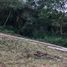  Land for sale in Tuba, Cordillera, Tuba, Benguet, Cordillera