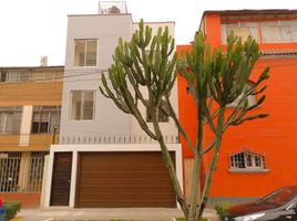 7 chambre Maison for rent in Lima, Jesus Maria, Lima, Lima