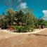 3 Schlafzimmer Villa zu verkaufen in Cozumel, Quintana Roo, Cozumel