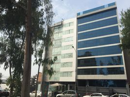 240 m² Office for rent in Lima, San Borja, Lima, Lima