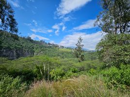  Terreno (Parcela) en venta en Nayon, Quito, Nayon