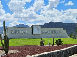  Grundstück zu verkaufen in Villa De Reyes, San Luis Potosi, Villa De Reyes