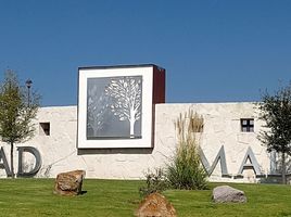  Land for sale in Lagos De Moreno, Jalisco, Lagos De Moreno