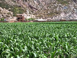  Grundstück zu verkaufen in Urubamba, Cusco, Yucay