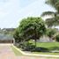 2 Habitación Casa en venta en Temixco, Morelos, Temixco