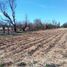  Land for sale in Cuauhtemoc, Zacatecas, Cuauhtemoc, Zacatecas
