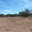  Land for sale in Cuauhtemoc, Zacatecas, Cuauhtemoc, Zacatecas