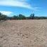  Land for sale in Cuauhtemoc, Zacatecas, Cuauhtemoc, Zacatecas