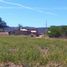  Land for sale in Cuauhtemoc, Zacatecas, Cuauhtemoc, Zacatecas