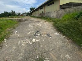  Terrain for rent in Lapu-Lapu City PUJ Terminal, Lapu-Lapu City, Lapu-Lapu City