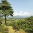  Land for sale in Cariu, West Jawa, Cariu