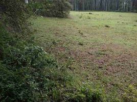  Land for sale in Pachuca De Soto, Hidalgo, Pachuca De Soto, Hidalgo