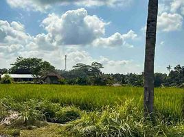  Land for sale in Sukawati, Gianyar, Sukawati