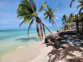  Grundstück zu verkaufen in Cozumel, Quintana Roo, Cozumel
