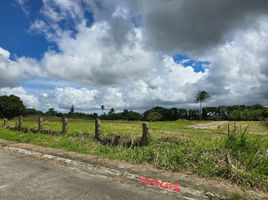  Land for sale in Cavite, Calabarzon, Tagaytay City, Cavite