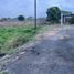  Land for sale in Nobol, Guayas, Narcisa De Jesus, Nobol