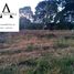  Land for sale in Atzacan, Veracruz, Atzacan