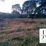  Land for sale in Atzacan, Veracruz, Atzacan