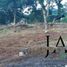  Land for sale in Atzacan, Veracruz, Atzacan