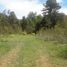  Land for sale in Los Rios, Paillaco, Valdivia, Los Rios